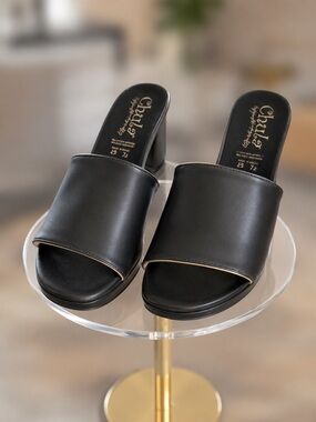 Chula Black  Slide Mule with Low Block Heel